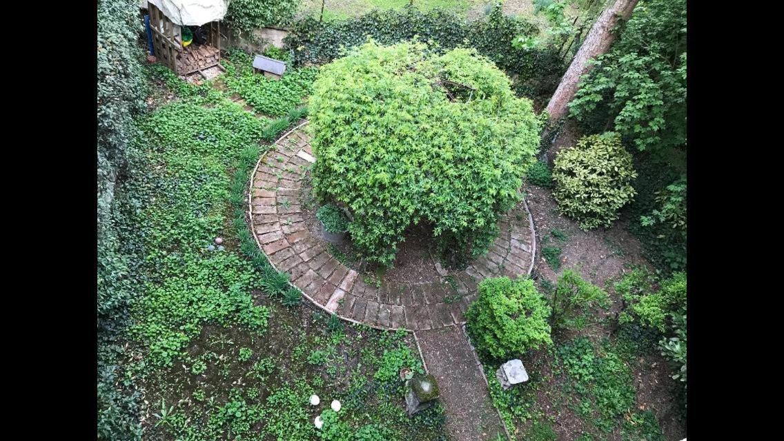 レッジョ・エミリアCasa Luminosa Con Giardino In Centro Storicoアパートメント エクステリア 写真